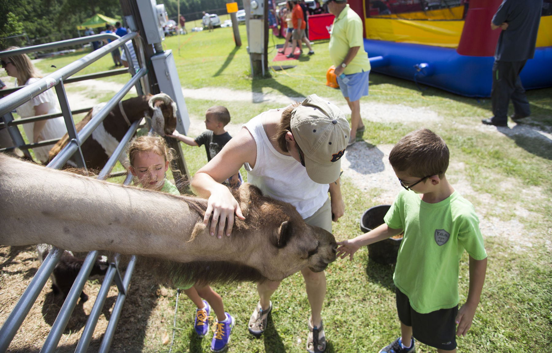 Lee County Agriculture Fair 2014